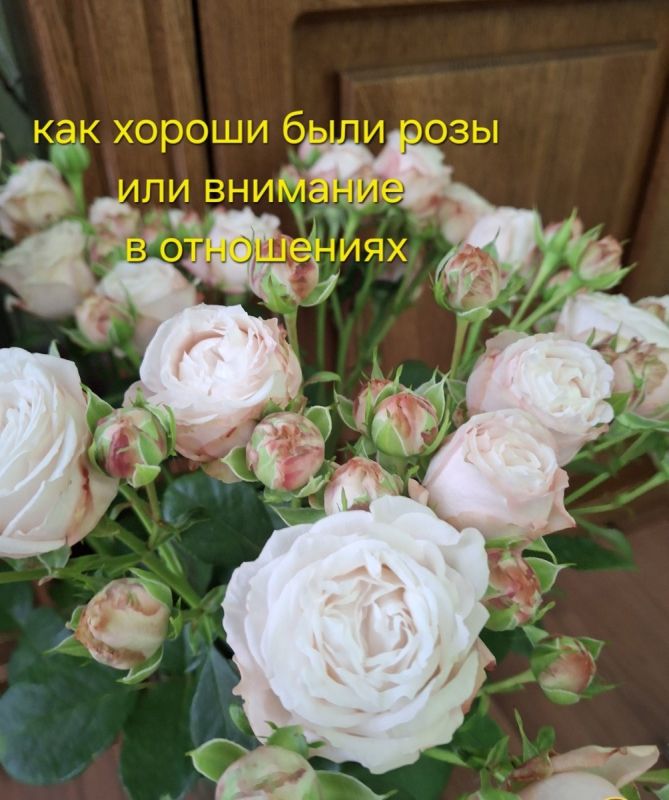 Внимание в отношениях: важность и динамика